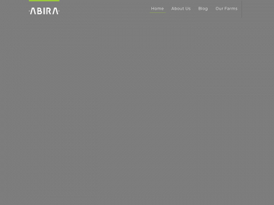 abira.com.co snapshot