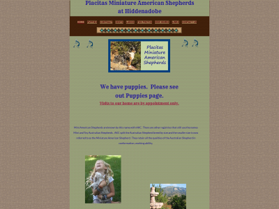placitasminis.com snapshot