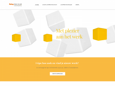 swingdoorjejob.be snapshot