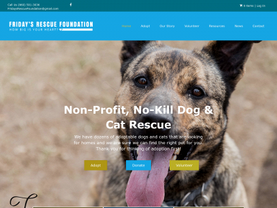 fridaysrescuefoundation.com snapshot