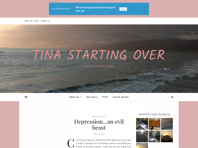 tinastartingover.com snapshot