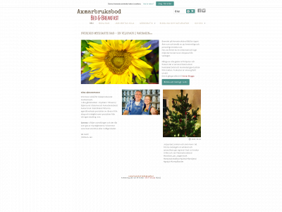 axmarbruksbod.se snapshot