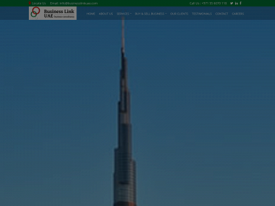 www.businesslinkuae.com snapshot