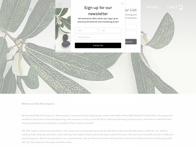 saltyolivesoapco.weebly.com snapshot