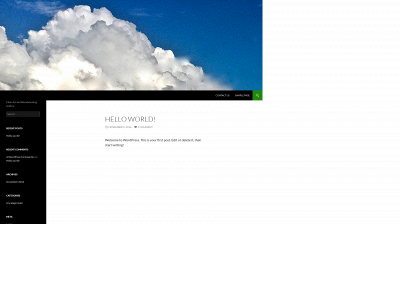 whittledandwarped.com snapshot