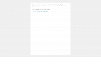 bhprintcompany.com snapshot