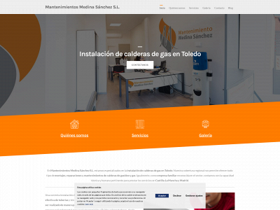 medinasanchez.es snapshot