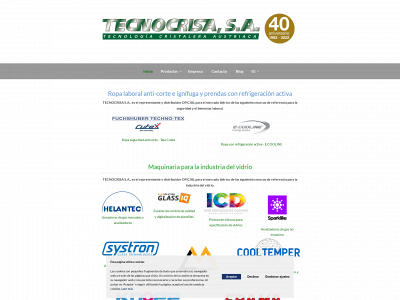tecnocrisasa.es snapshot