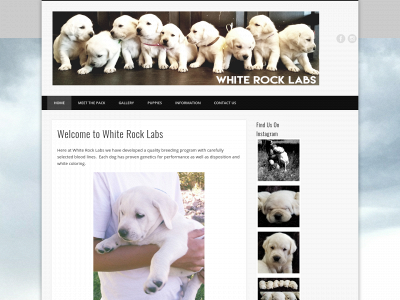 whiterocklabs.com snapshot