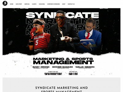 syndicatesportsgroup.com snapshot