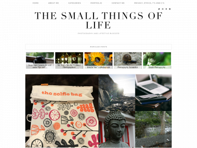 thesmallthingsoflife.com snapshot