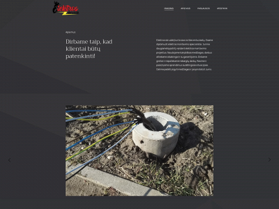 elektrosskruzde.lt snapshot