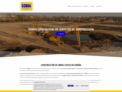 cobsahuelva.com snapshot