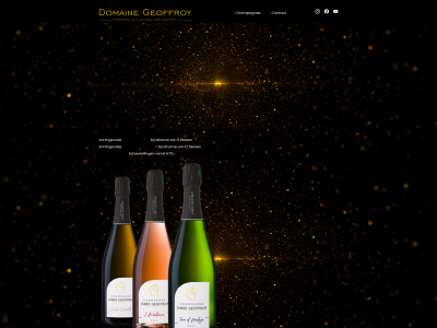 lekkerechampagne.shop snapshot