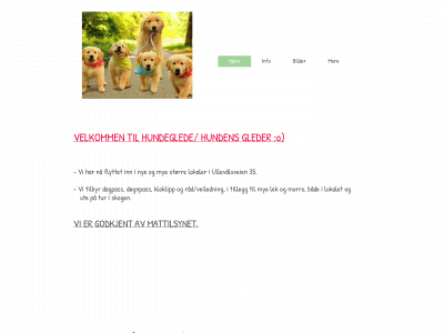 hundeglede.com snapshot