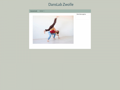 danslab-zwolle.nl snapshot