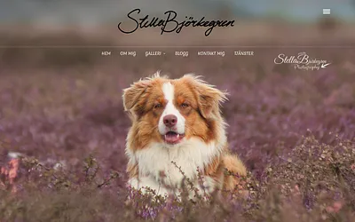stellabjorkegren.se snapshot