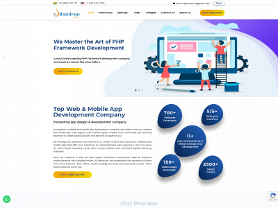 raindropsinfotech.com snapshot