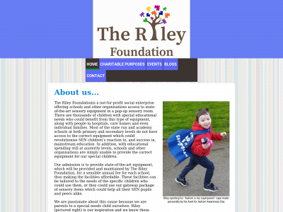 www.therileyfoundation.co.uk snapshot