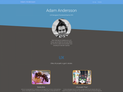 adamux.site snapshot