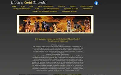 hollandseenduitseherder.be snapshot