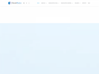 cirujanoplasticocolombia.co snapshot