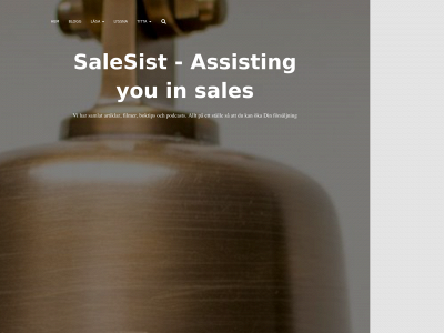 salesist.com snapshot
