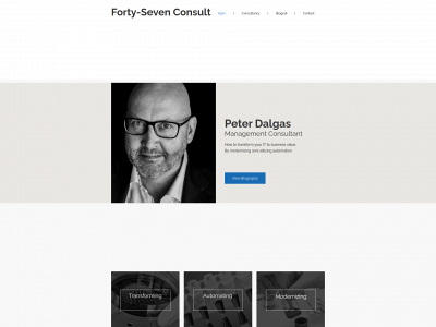 forty-sevenconsult.com snapshot