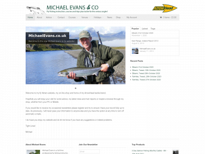 michaelevans.co.uk snapshot