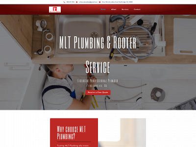 mltplumber.com snapshot