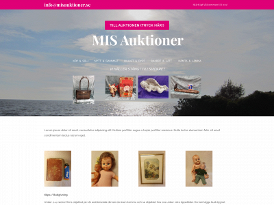 misauktioner.se snapshot
