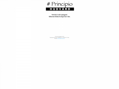 principio.se snapshot