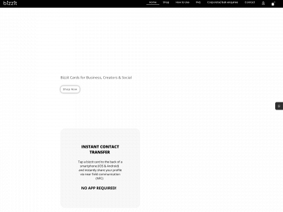 bizzit.in snapshot
