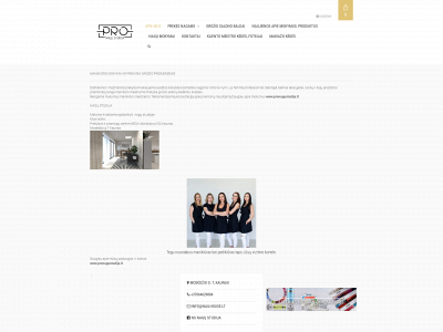 nailhouse.lt snapshot