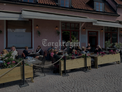 torgkrogenvisby.se snapshot