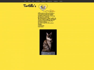 tortilla-s.de snapshot