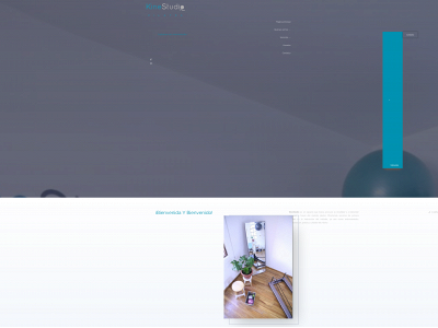 kine-studio.com snapshot