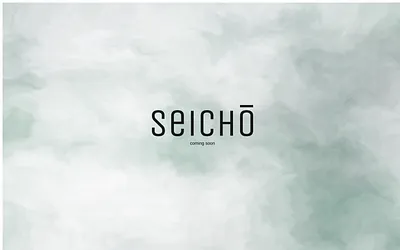 seicho.be snapshot