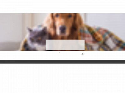 paw-pethouse.com snapshot