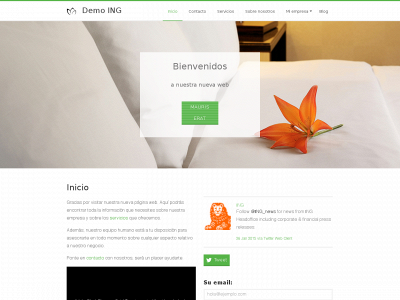 prueba-ingdemo.com snapshot