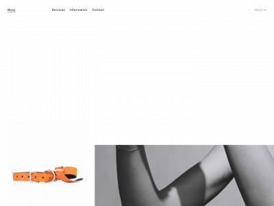 wavy.se snapshot