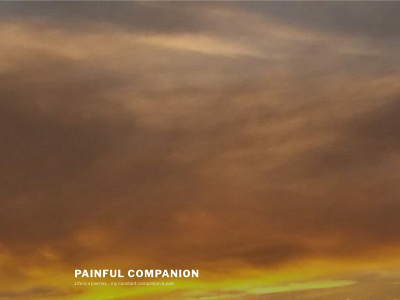 painfulcompanion.com snapshot