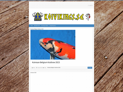 koivikings.se snapshot