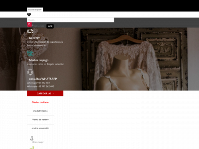 zapatosvestidos.com snapshot