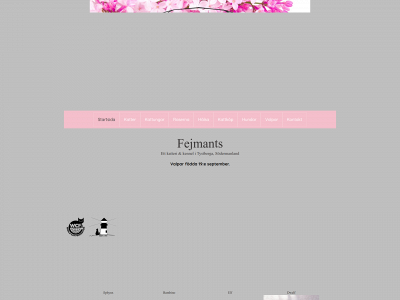 fejmants.se snapshot
