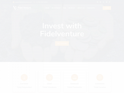 fidelventure.com snapshot