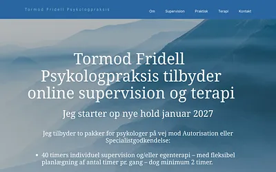 tormodfridell.com snapshot