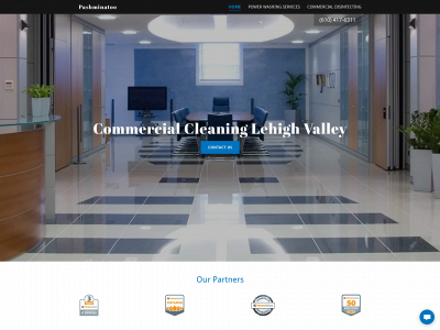 pashminatoo.com snapshot