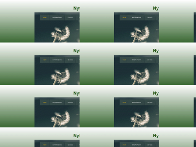 nyttlivsunnhordland.no snapshot