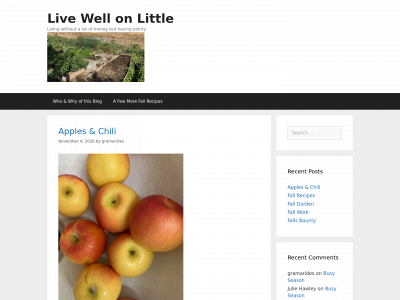livewellonlittle.com snapshot